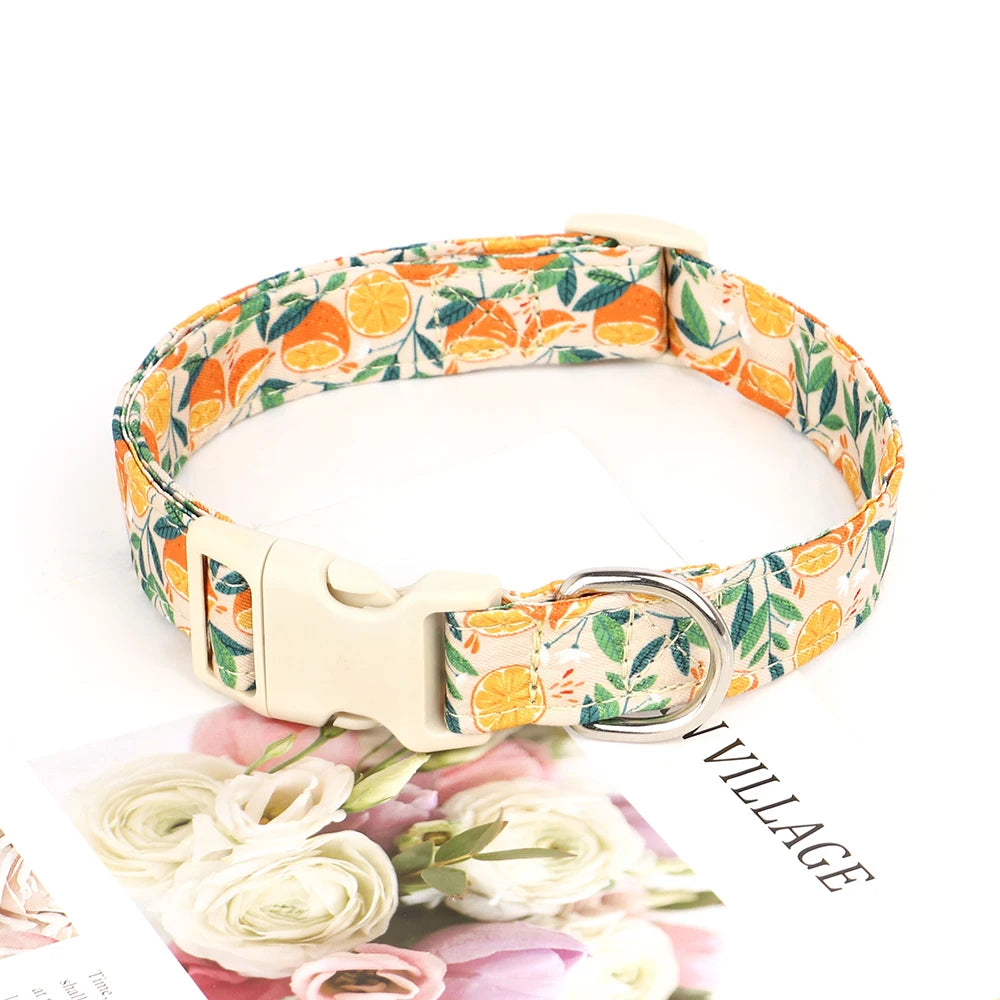 Adjustable Printed Nylon Dog Collar