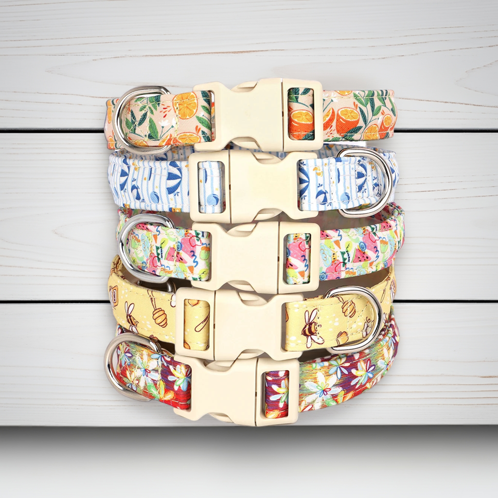 Adjustable Printed Nylon Dog Collar